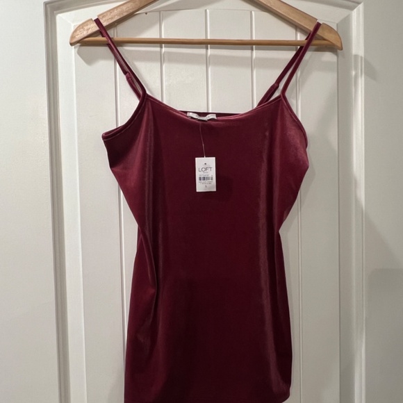 2 (TWO)Ann Taylor Velvet Tanks - Picture 5 of 7
